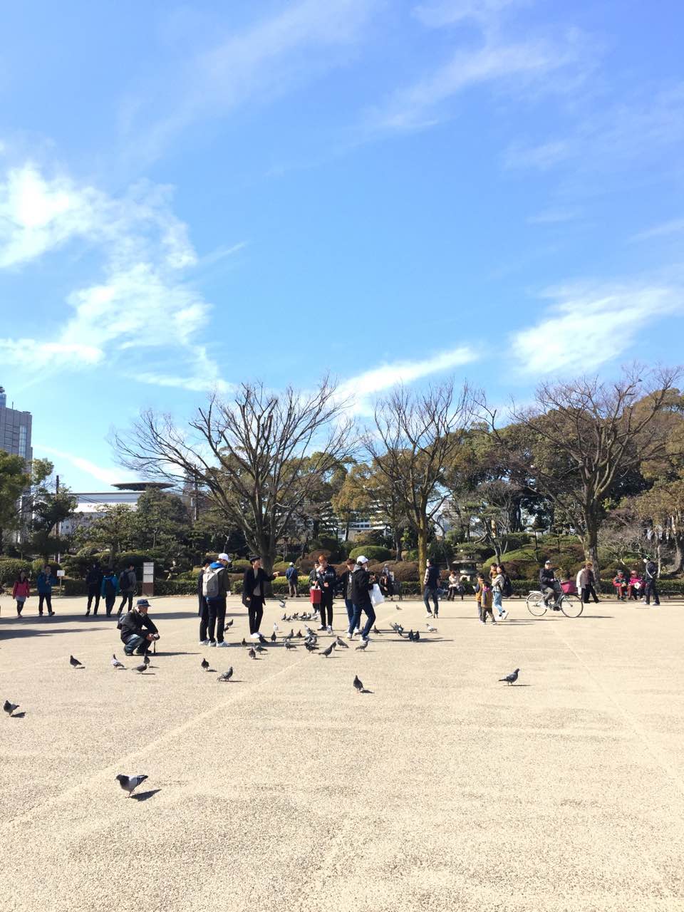 Osaka_Castle_Park5.jpeg