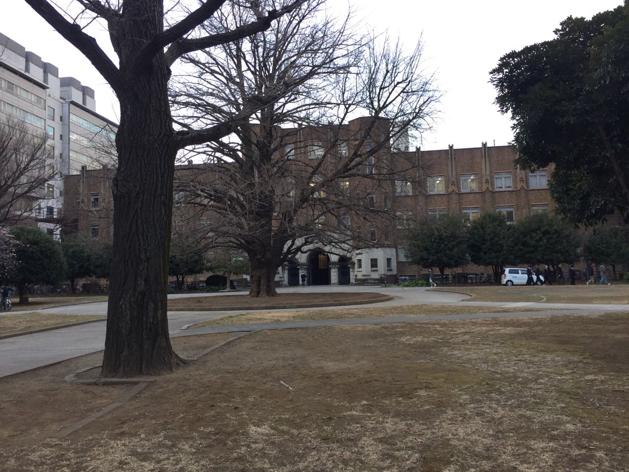 The-University-of-Tokyo_2.jpeg