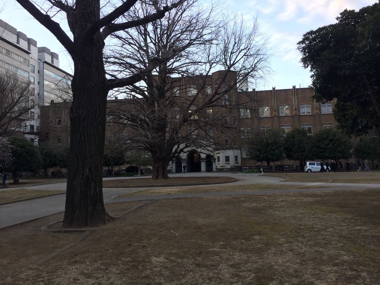 The-University-of-Tokyo_3.jpeg