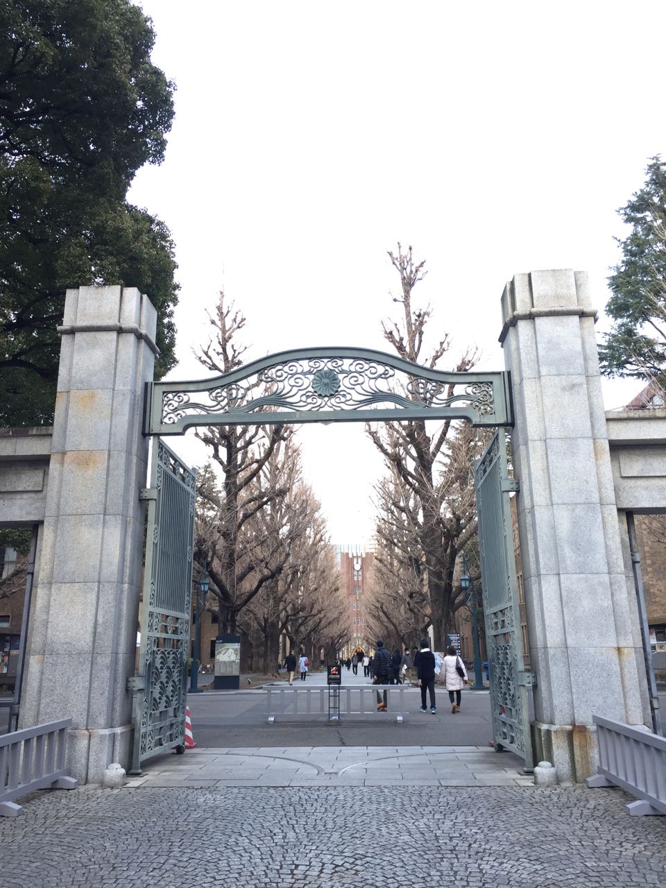 The-University-of-Tokyo_5.jpeg