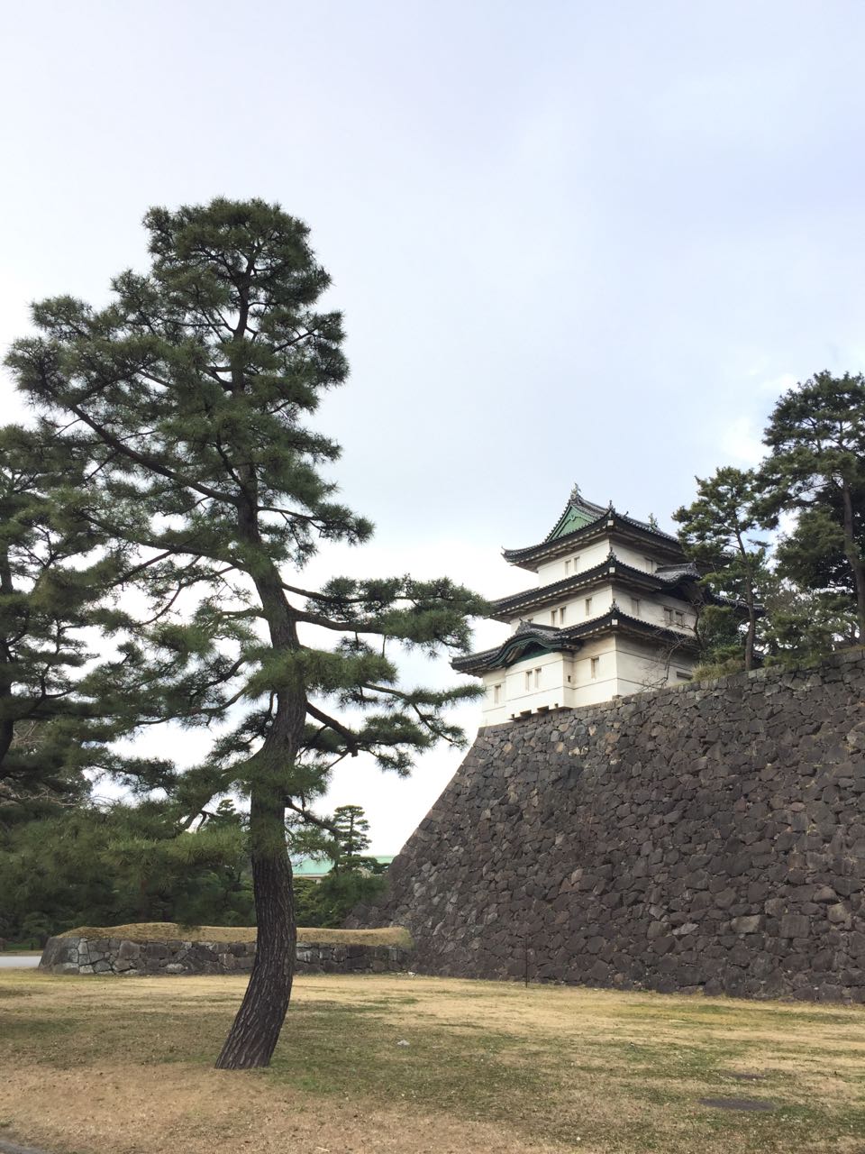 Tokyo-Imperial-Palace_7.jpeg
